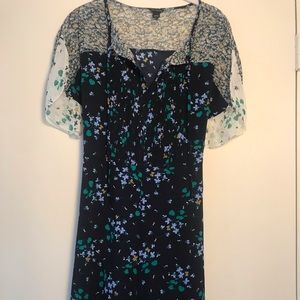 Ann taylor floral dress